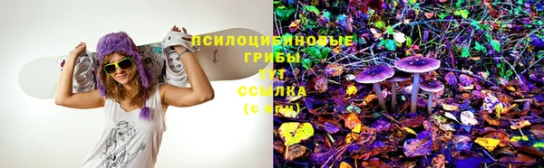 прущие крисы Абдулино