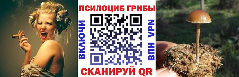 как найти закладки  Иннополис  Псилоцибиновые грибы Magic Shrooms 
