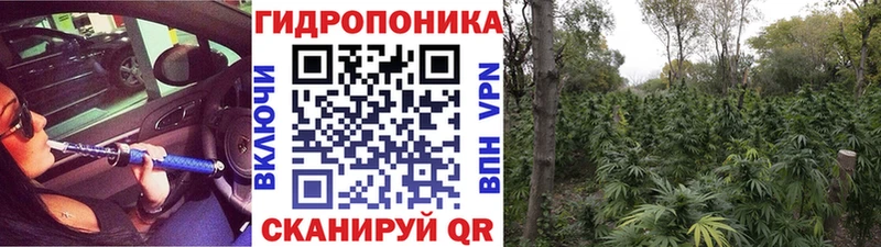 Канабис MAZAR Иннополис